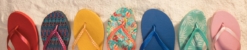 Sandals & Flip flops